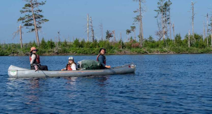 Three people paddle a canoe on blue water. There is a green shore in the background. 